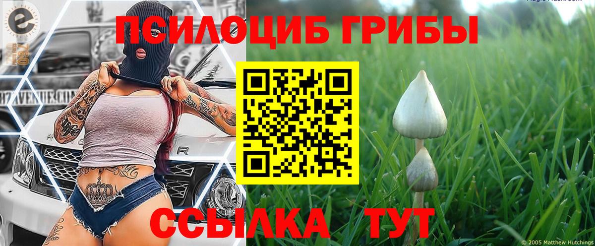 Галлюциногенные грибы мицелий  Галлюциногенные грибы мицелий  Вход с VPN  Набережные Челны 
