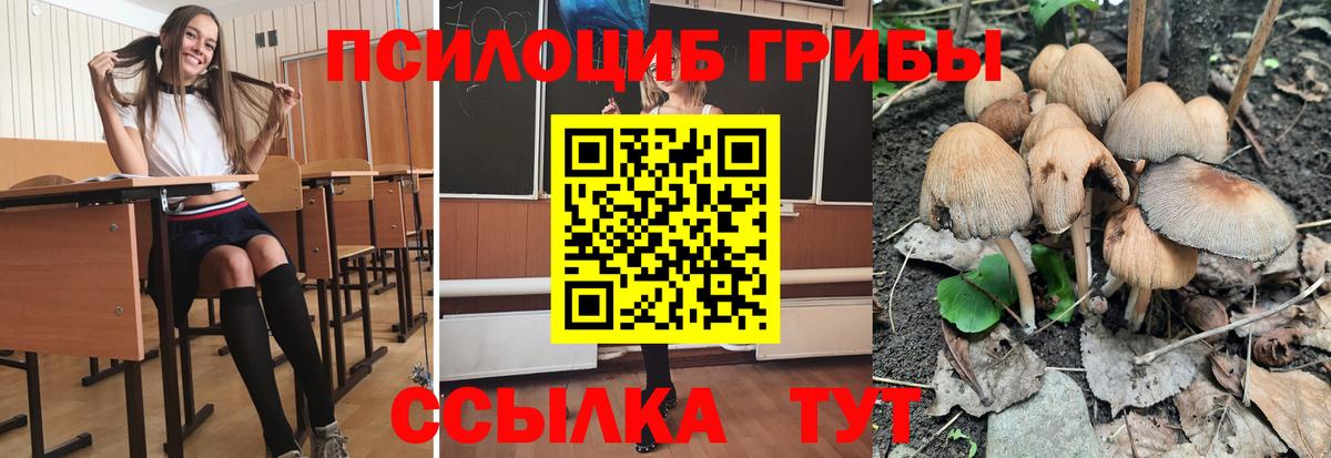 Псилоцибиновые грибы MAGIC MUSHROOMS Набережные Челны
